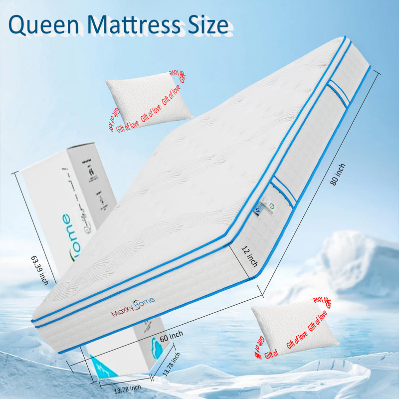 12 Inch Queen Mattress with Pillows, Gel Memory Foam Mattress in a Box,  Medium Firm, Queen