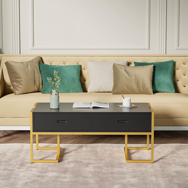 42.5 inch Rectangle Coffee Table Modern Living Room Table with Gold Base and Storage Drawers